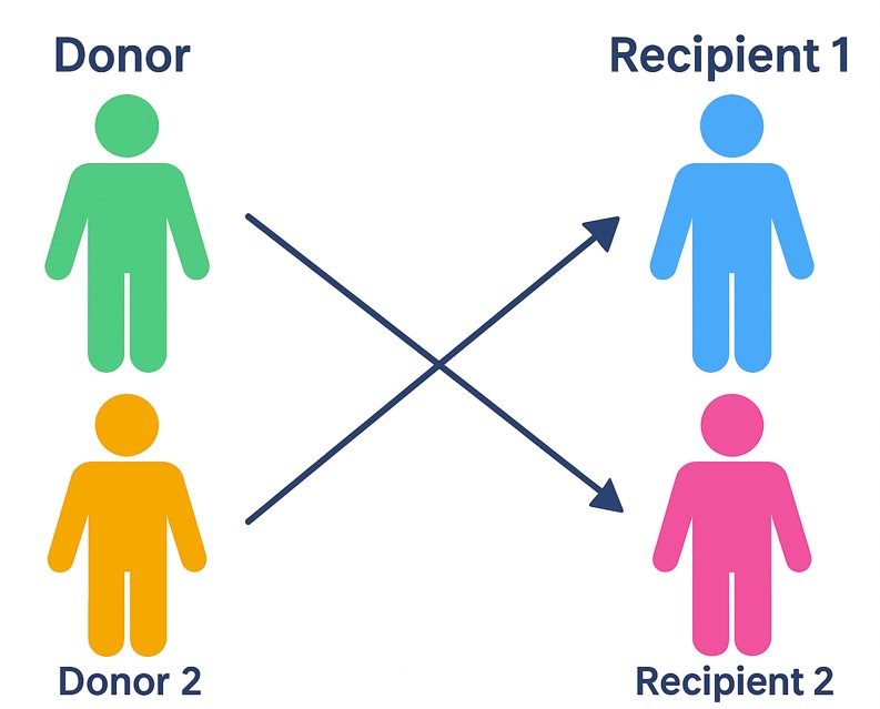 An image showing how a donor can participate in a transplant exchange programme